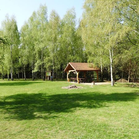 Dom Nasutow Villa Niemce Bagian luar foto